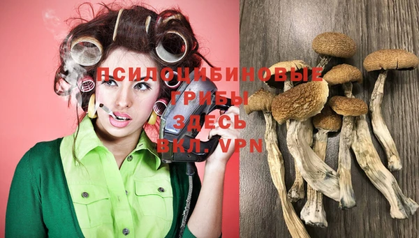 хмурый Алексеевка