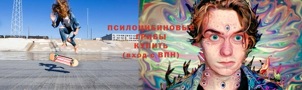 твердый Алзамай