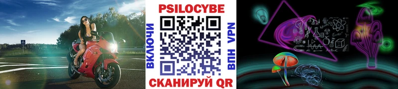 Псилоцибиновые грибы Psilocybine cubensis  магазин продажи   Апатиты 